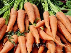 reve de carotte - interpretation des reves