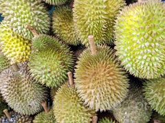 reve de durian - interpretation des reves