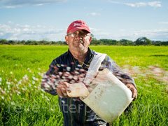 reve d'agriculteur - interpretation des reves