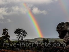 reve d'arc-en-ciel - interpretation des reves