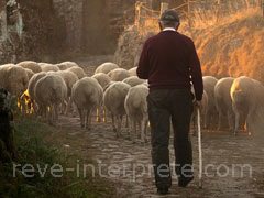 reve de berger - interpretation des reves