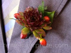 reve de boutonniere - interpretation des reves