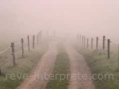 reve de brouillard - interpretation des reves