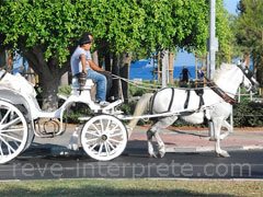 reve de caleche - interpretation des reves