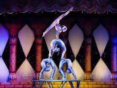 reve de cirque - interpretation des reves