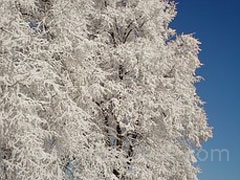 reve de givre - interpretation des reves