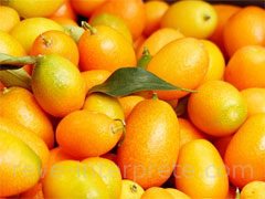 reve de kumquat - interpretation des reves