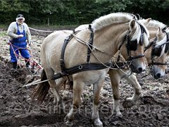 reve de labourer - interpretation des reves