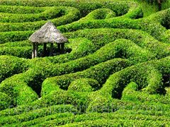 reve de labyrinthe - interpretation des reves