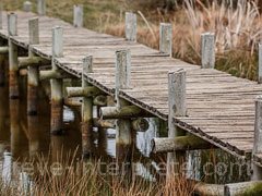 reve de passerelle - interpretation des reves