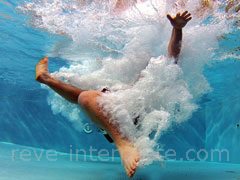 reve de plongeon - interpretation des reves