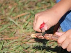 reve de scout - interpretation des reves