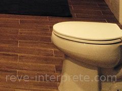 reve de toilettes - interpretation des reves