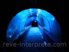 reve de tunnel - interpretation des reves