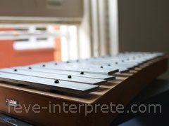 reve de xylophone - interpretation des reves